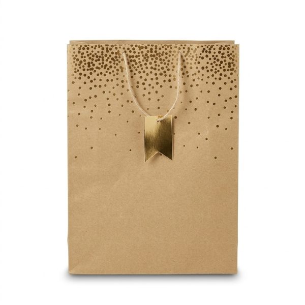 Bolsa de regalo kraft con lunares dorados, vista principal