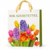 Bolsa de regalo con tulipanes multicolor, vista frontal